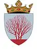 Coat of arms of Sîngerei