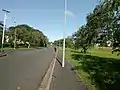 Street lights on campus