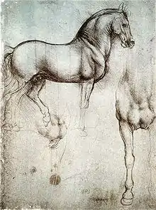 Leonardo's horse in silverpoint, c. 1488