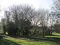 South east corner of Sunny Hill Park