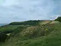 Swyre Head from the north-east