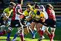 Sydney Stars under pressure