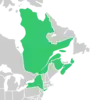 Symphyotrichum × tardiflorum recorded occurrences: New Brunswick, Nova Scotia, and Québec (Canada); New York (US).