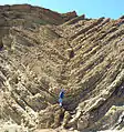 Syncline in the lower parking lot of Calico Ghost Town; the ductile folding is at the base and the brittle is above.