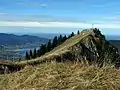 The summit