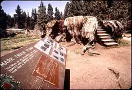 Mark Twain Stump in May 1972.