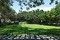 Lawn for Wedding