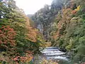 Fall Foliage