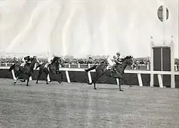Talking, 1936 winner.