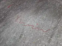 The Snake