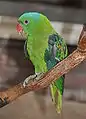 At Walsrode Bird Park