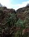 Tappoch Broch entrance