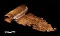 Snakeskin artifact
