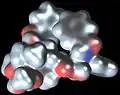 Space-filling model of paclitaxel