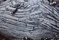"Teepee" structure, due to increasing sediment volume by dolomitisation on the inner platform supratidal flat. Top of emersive cycle. Middle Lias, Aganane Formation, High Atlas.