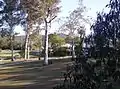 Walton Bridge Reserve at The Gap