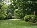 The Glade, Dartington Hall Gardens