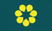 The Golden Wattle Flag