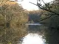 The Haven Lake