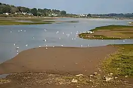 A tidal estuary at low water