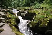 The Strid near Bolton Abbey.mw-parser-output .geo-default,.mw-parser-output .geo-dms,.mw-parser-output .geo-dec{display:inline}.mw-parser-output .geo-nondefault,.mw-parser-output .geo-multi-punct{display:none}.mw-parser-output .longitude,.mw-parser-output .latitude{white-space:nowrap}54°0′15.18″N 1°54′13.3″W﻿ / ﻿54.0042167°N 1.903694°W﻿ / 54.0042167; -1.903694