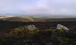 The Whit Stones: two standing stones 230 m west of Whitstone Post