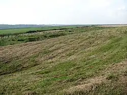 A grassy green hillside.