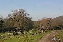 Lympne Escarpment