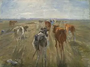 Long Shadows Cattle on the Island of Saltholm