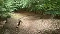 A 25&nbsp;km mountainbike track runs through the forests.