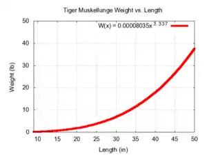 Tiger muskellunge