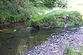 Confluence of Tong End Brook
