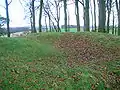 The top of the Castle Hill Plantation.