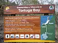 Tortuga Bay Galapagos
