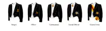 Order of Wear - Royal Order of the Lion of Godenu