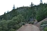 Farther up on the trail
