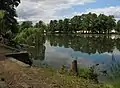 Castle pond