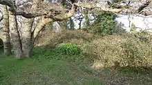 Tumulus on the south side of Wick Lane