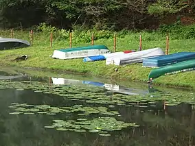Several rowboats and canoes on the shore of lake with lily pads