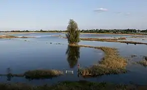 near Slijk-Ewijk, the Waal during the flood (summer 2021)