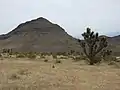 Typical Landscape at the Joshua National Natural Monument