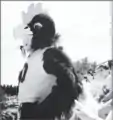 Blue Hen mascot standing in front of crowd.