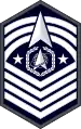 Senior Enlisted Advisor of the Space Force