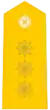 Coronel