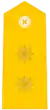 Teniente Coronel