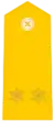 Teniente