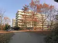 Department of Electrical, Electronic and Communication Engineering