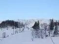 Fundata in winter