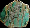 Cut slab of variscite at the Smithsonian. Specimen is roughly 0.5 m wide.