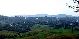 Piatra